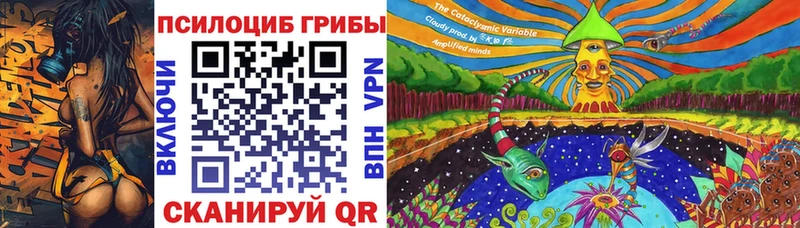 что такое   Петровск-Забайкальский  kraken tor  Псилоцибиновые грибы Psilocybine cubensis 